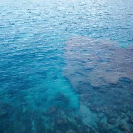 Affittacamere Ciclamino Siracusa