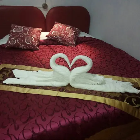 Ciclamino Siracusa Affittacamere 3*
